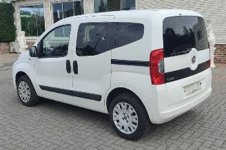Fiat Qubo qubo pop moterschade picture 16