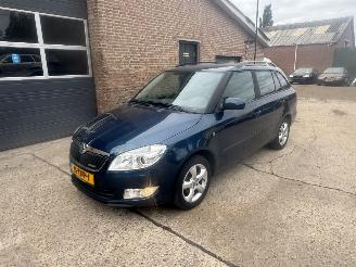 uszkodzony samochody osobowe Skoda Fabia  2012/1