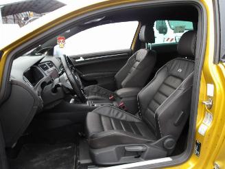 Volkswagen Golf R-TYPE picture 20