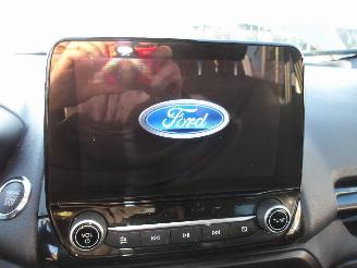 Ford EcoSport  picture 15