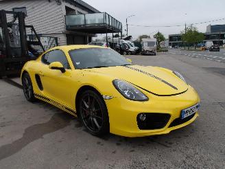 škoda osobní automobily Porsche Cayman  2013/1