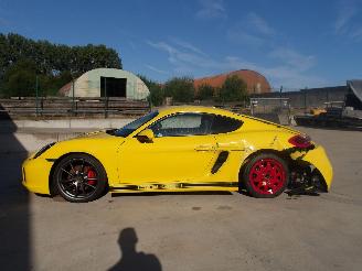 Porsche Cayman  picture 6