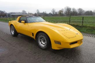 Chevrolet Corvette C3 STINGRAY 5.7 V8 T-BAR picture 11