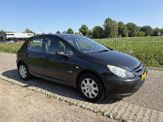 Peugeot 307 1.6-16V NAVTECH picture 14