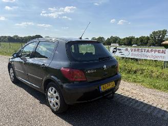 Peugeot 307 1.6-16V NAVTECH picture 4