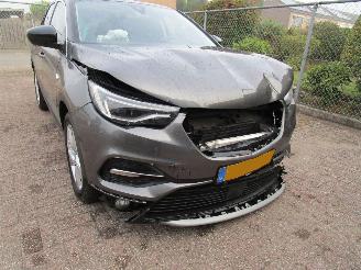 Opel Grandland X 1.2T Camera Navi Panodak 6-Bak picture 8