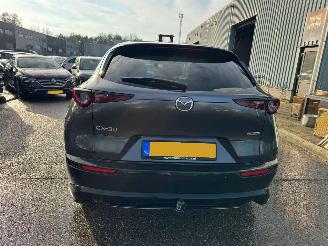 Mazda CX-30 2.0 e-SkyActiv-X M Hybrid Luxury picture 4