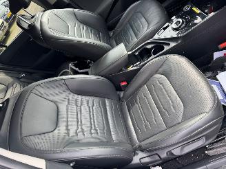 Kia Niro EV DynamicPlusLine 64.8 kWh picture 15