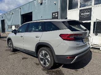 Skoda Kodiaq 1.5 TSI MHEV Business Edition 7p picture 3
