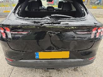 Ford Mustang Mach-e 98 kWh Extended 210KW RWD picture 21