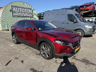 Damaged car Mazda CX-30 2.0 e-SkyActiv-X Autom. 137KW M Hybrid Luxury Clima Navi Led NAP 2022/1