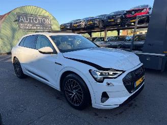 uszkodzony samochody osobowe Audi E-tron 55 95 kWh 300KW Quattro Advanced Pano Clima Navi Led Xenon 2019/12