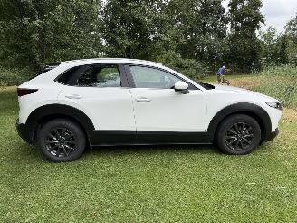 Mazda CX-30 2.5 Hybrid picture 36