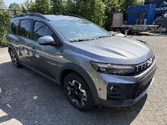 Dacia Jogger HYBRID  7 SEATER picture 14
