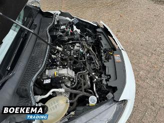 Ford Fiesta 1.0 EcoBoost Hybrid Titanium Navi Cruise Airco picture 11