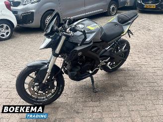 Yamaha  Other MT-125 ABS picture 5