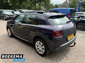 Citroën C4 cactus 1.2 e-VTi Business Automaat Camera Navigatie Cruise picture 3