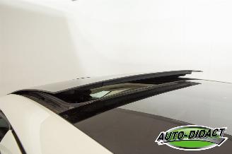 Fiat Grande Punto 1.4 Elek dak NeroBianco picture 21