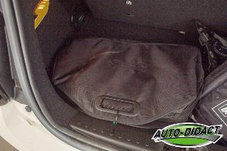 Fiat 500 Elek 24 kWh 94% SOH 10.336 km picture 23
