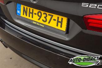 BMW 5-serie 520i Automaat Pano Leder Clima Luxury Edition picture 38