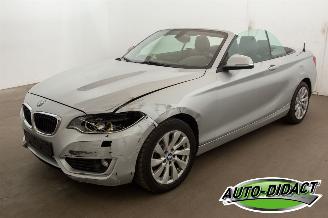 krockskadad bil auto BMW 2-serie 220 cabrio Automaat Navi 2015/3