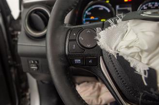 Toyota Rav-4 2.5 Hybrid Elek Pano Camera Leder Autom Navi picture 17