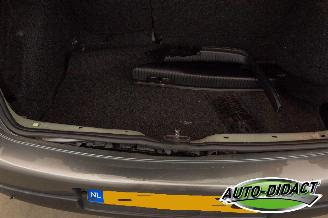 Volkswagen Golf 2.0 FSI Clima Sportline picture 33