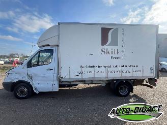 Mercedes Sprinter 513 CDI Laadklep Marge auto picture 39