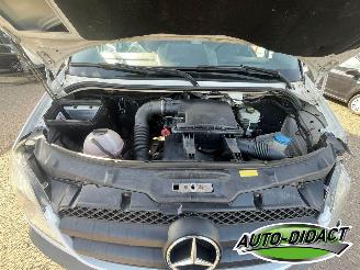 Mercedes Sprinter 513 CDI Laadklep Marge auto picture 31