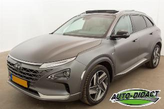 Avarii autoturisme Hyundai Nexo FCEV Plus Pack HANDEL 2019/7