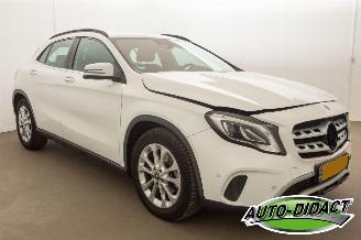 Mercedes GLA 180 Automaat Clima Navi Camera Business Solution Limited picture 2