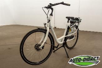 Avarii biciclete Stella  Fiore 2020/1