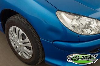 Peugeot 206 1.4 Forever picture 29