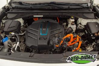 Kia e-Niro 64 kWh 87.608 km NAP Navi Clima Camera Leder ExecutiveLine picture 33