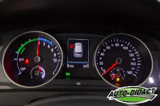 Volkswagen e-Golf 36 kWh Navi Camera Clima picture 6