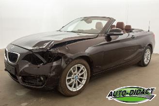 Schadeauto BMW 2-serie Cabrio 218i Navi Leder Airco 2015/7