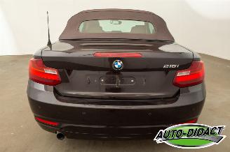 BMW 2-serie Cabrio 218i Navi Leder Airco picture 38