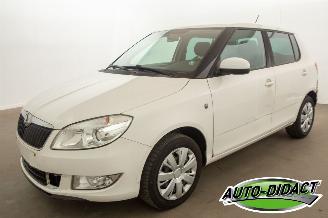 škoda osobní automobily Skoda Fabia Automaat - Airco - 1.2 2014/5
