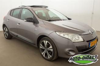 Renault Mégane 1.4 TCe Open Pano Clima Bose picture 2