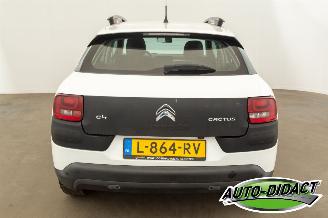 Citroën C4 cactus 1.2 PureTech Clima Camera Feel picture 32
