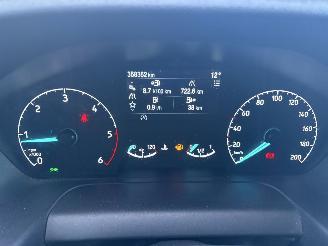 Ford Transit 350 2.0 TDCI L3H2 Trail MHEV picture 37