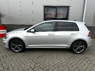 Volkswagen e-Golf E-Golf picture 20