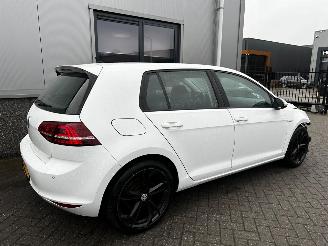 Volkswagen e-Golf e-Golf picture 45