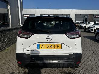 Opel Crossland 1.2 120 Jaar Edition picture 4