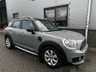 Avarii autoturisme Mini Countryman 1.5 Cooper Salt 2018/4