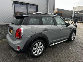 Mini Countryman 1.5 Cooper Salt picture 6