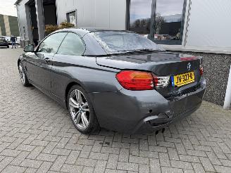 BMW 4-serie 420i Centennial High Executive Cabrio picture 21
