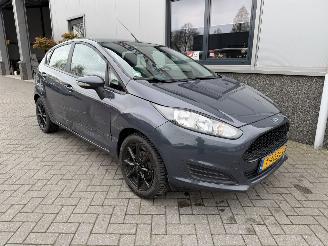 Ford Fiesta 1.25 Trend 2013/6