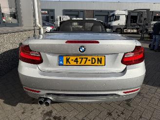 BMW 2-serie 230i Executive Cabrio picture 26