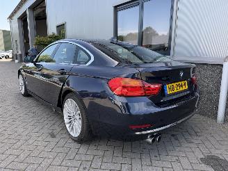 BMW 4-serie 420i Luxury Gran Coupe picture 24